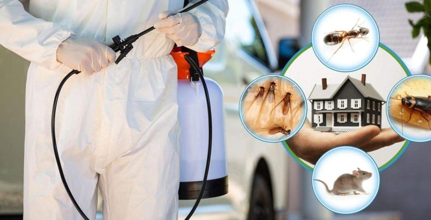 Kocasinan Böcek İlaçlama