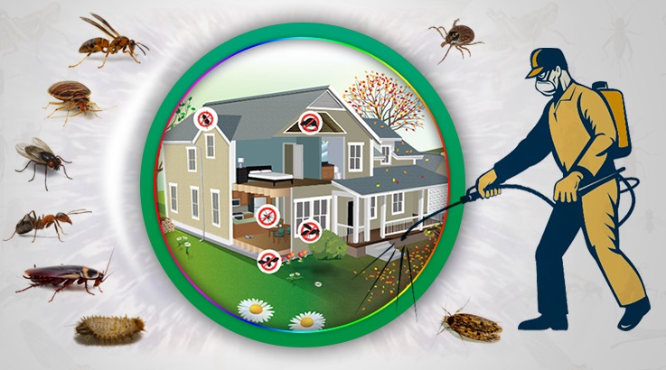 Kocasinan Böcek İlaçlama