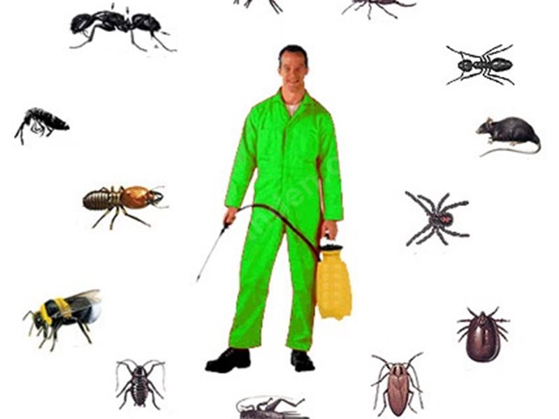 Kocasinan Böcek İlaçlama